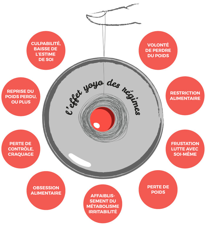 Andorfine-Kitchen-schema-effet-yoyo